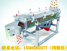 湖南王總需要的DZSF直線振動(dòng)篩今天發(fā)貨!